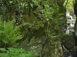 HD: Waterfall In A Green Forest Stock Footage