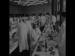 CAN 165 SAUSAGE TASTING COMPETITION IN FRANKFURT News Clip