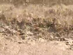 Waste Water Threatment Close Up Stock Footage