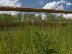 Mountain Ranch Stock Footage