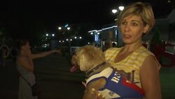 Stray dogs in Sochi helped into shelters over fears they may be killed Instructional Video