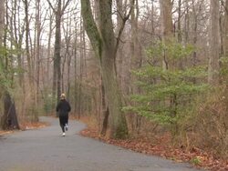 Pan Runs Past Stock Footage