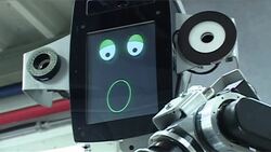 A new robotic work colleague News Clip