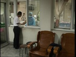 Panda twins born during the Olympics News Clip