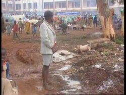 Zaire - Latrines For Refugees News Clip