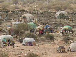 MS Shot of entrance of refugee camp in Djibouti with tents made of scrap plastic sheets / Djibouti refugee camp, Djibouti Stock Footage