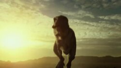 A winged dinosaur defends her babies from a Tyrannosaurus  Rex in a computer generated animation. Stock Footage