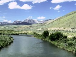 Wind River and mountains in background, birds flying over river, Wyoming, United States Stock Footage
