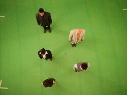 Business people forming alphabet I Stock Footage