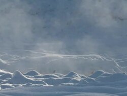 MS View of Deep snow geothermal steam passing over / Yellowstone National Park, Wyoming, United  Stock Footage