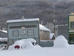 MS Wide shot of husky dog barking on roof top AUDIO / Dawson City, Yukon Territory, Canada Stock Footage