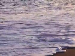 Sunset wave Stock Footage