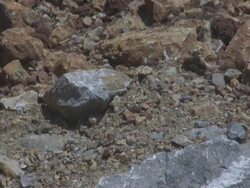 Geologist (HD) Stock Footage