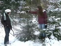 MS Two women taking christmas tree with them after cutting / Saarburg, Rhineland-Palatinate, Germany Stock Footage