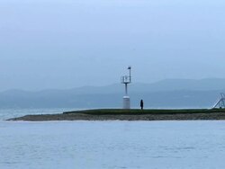 Nature by sea Stock Footage