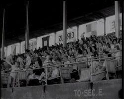 DARE-DEVIL CAR ACT - News Clip