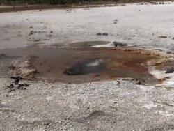 Yellowstone Geyser Stock Footage