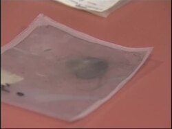 Hair and funeral cloth from mummy of Ramses II returned from France News Clip