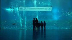 Dazzling theme park unveiled in southeast China News Clip