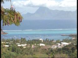 Tahiti - Flosse Backs French Nuclear Testing News Clip