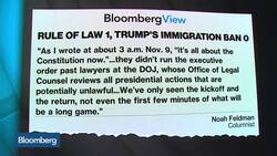 President Donald Trump and the U.S. Constitution News Clip