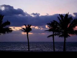 Tropical sunrise Stock Footage