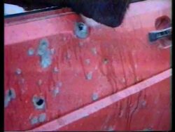 Bosnia - Alleged Attack On Refugees Aftermath News Clip