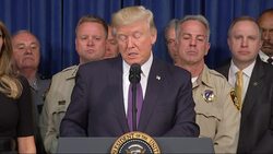 Trump: 'America is truly a nation in mourning' Instructional Video