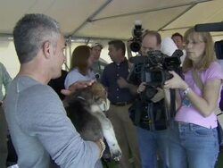 Cesar Millan at the North Shore Animal League Pet Adoptathon Weekend 2010 with Cesar Millan at Port Washington NY. (Footage by WireImage Video/GettyImages) Stock Footage