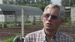 Thoroughbred horses sold off for meat as recession deepens News Clip