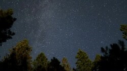 Stars fill the night sky in a forest. Stock Footage