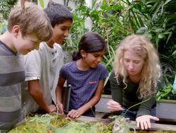 MS smiling female botanist lauging with group of young students showing them worms in research greenhouse. Stock Footage