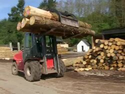 MS PAN Forklift moving logs in lumberyard at saw mill / Schweich, Rhineland Palatinate, Germany Stock Footage