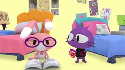 Put a sock in it Instructional Video