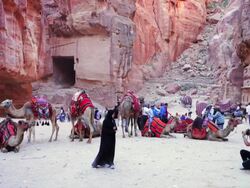 Scenes of Petra Stock Footage