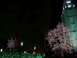 Colorful Lights Added to the Beauty of the Mormon Temple Stock Footage