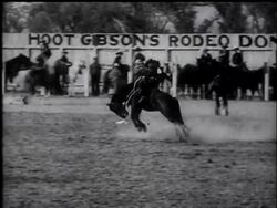 Bucking Steers Win Spring Rodeo Battle News Clip