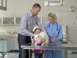 Father And Daughter Bringing A Cat To The Clinic Stock Footage