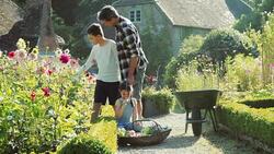 Family gardening in sunny cottage garden Stock Footage