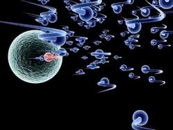 Sperm Race (HD) Stock Footage