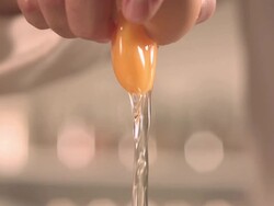 Chef's hand cracking an egg Stock Footage