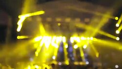 Music festival. Stock Footage