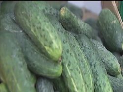 The E. coli bacteria responsible for a deadly outbreak that has left 18 dead and sickened hundreds in Europe is a new strain that has never been seen before, the World Health Organization said Thursday. News Clip