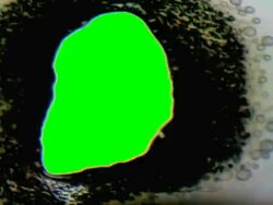 Film Burn with Chroma Key. NTSC, PAL Stock Footage