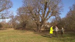 Prince Harry At Epping Forest Conservation Project News Clip