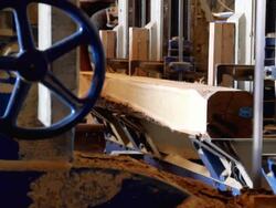 Sawmill (HD) Stock Footage