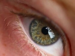 Green Eye Stock Footage