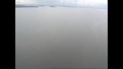 Aerial shots over river delta and forest News Clip