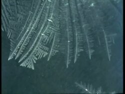 CU time lapse ice crystals growing from top to bottom of frame Stock Footage