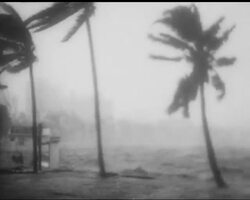 FLORIDA HURRICANE - VIVID PICTURES News Clip